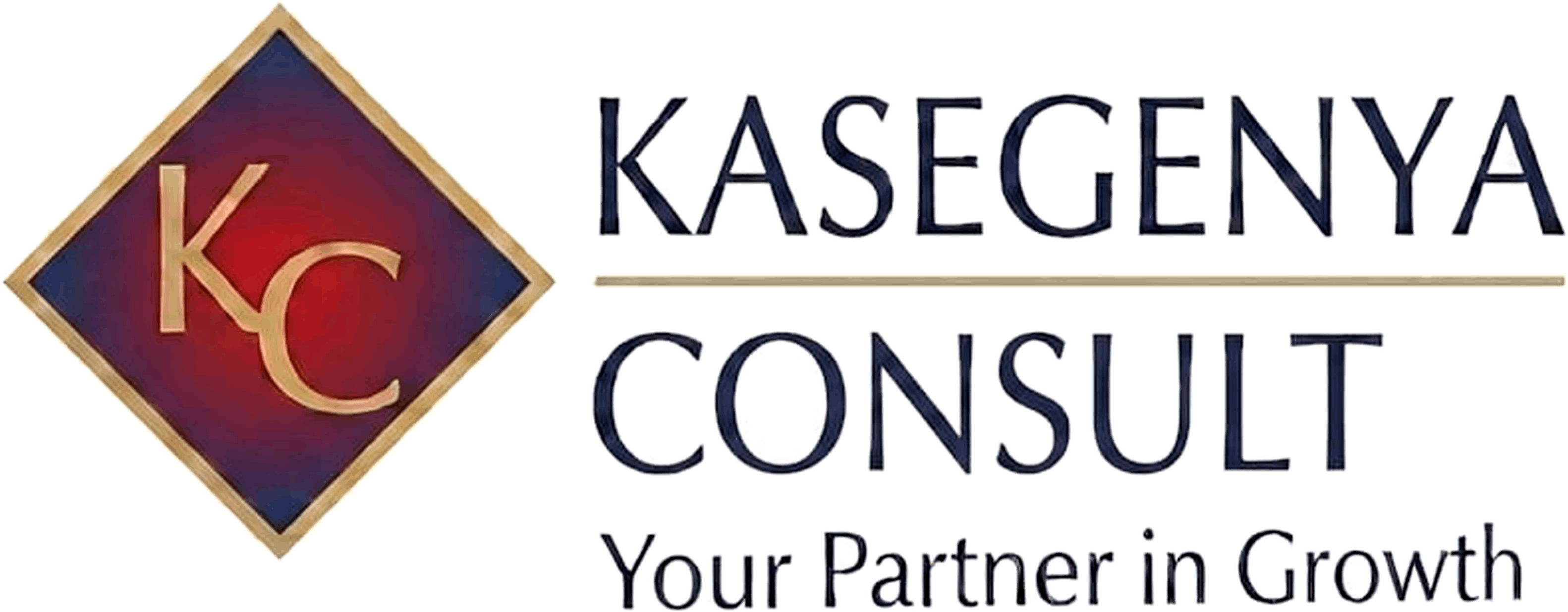 Kasegenya Consult